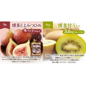 ふるさと納税 【定期便/年6回】フルーツ むな...の詳細画像4