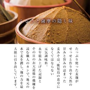 ふるさと納税 フリーズドライ 味噌汁 260袋...の詳細画像3