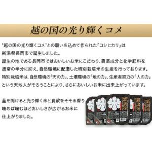 ふるさと納税 75-PG24D新潟県長岡産コシ...の詳細画像1