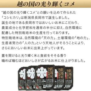 ふるさと納税 75-PG24E新潟県長岡産コシ...の詳細画像1