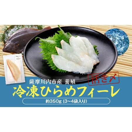 ふるさと納税 AS-816 ひらめ(冷凍フィーレ)350g 鹿児島県薩摩川内市