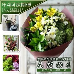 ふるさと納税 SL0220　【4回定期便】「季節の花や植物の定期便 んだの４」 山形県酒田市