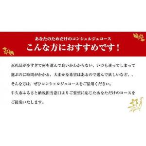 ふるさと納税 あなただけの プレミアム コンシ...の詳細画像1