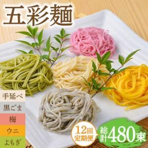 ふるさと納税 【12回定期便】五彩麺 セット 40束 / そうめん 素麺 黒ごま 梅 うに よもぎ / 麺 乾麺 食べ比べ 詰め合わせ カラフル / 南島原市.. 長崎県南島原市