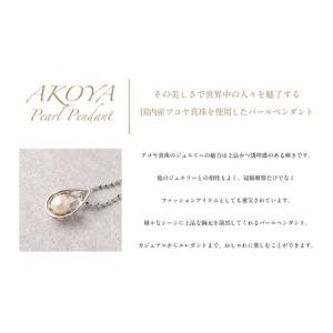 ふるさと納税 SILVER アコヤ真珠 6mm...の詳細画像1