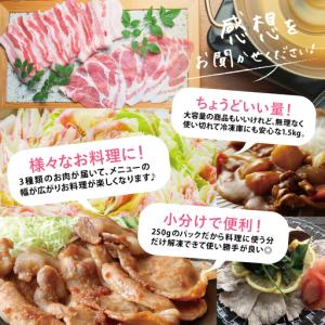 ふるさと納税 【鹿児島県産】豚3種類 計1.5...の詳細画像3