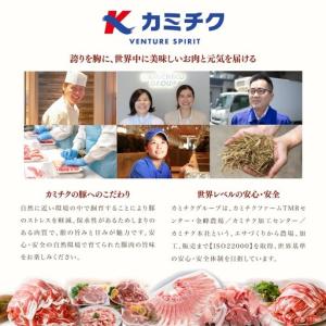ふるさと納税 【鹿児島県産】豚3種類 計1.5...の詳細画像4