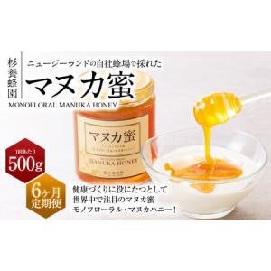 ふるさと納税 【6ヶ月定期便】 杉養蜂園 ニュージーランド産マヌカ蜜 500g×6ヶ月 はちみつ 蜂蜜 熊本県熊本市