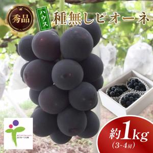 ふるさと納税 ハウス種無しピオーネ(3〜4房)/80【配送不可地域：離島】【1299403】 山梨県...