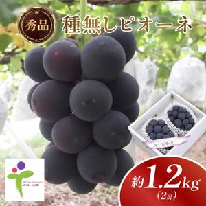 ふるさと納税 種なしピオーネ(2房)/80【配送不可地域：離島】【1300105】 山梨県山梨市