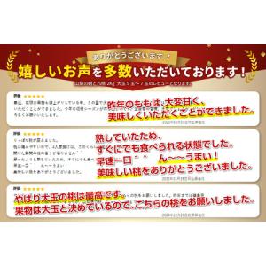 ふるさと納税 桃 山梨県産 朝どれ桃2kg も...の詳細画像2