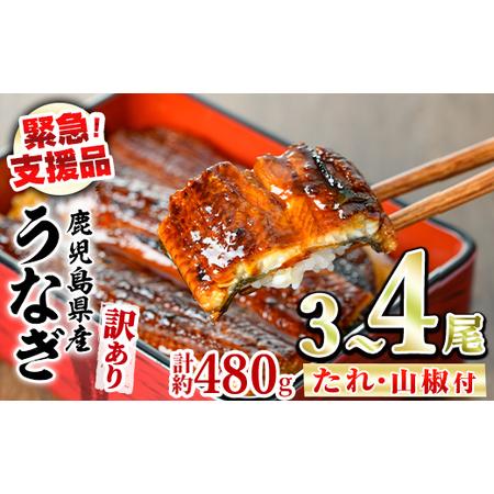 ふるさと納税 【緊急支援品】＜訳あり＞鰻の蒲焼き(無頭)(3〜4尾・計約480g・タレ、山椒付) う...