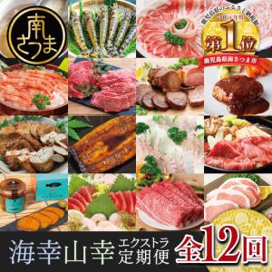 ふるさと納税 【定期便】海幸山幸 エクストラ厳選 定期便（全12回） お肉 お魚 豚肉 牛肉 黒豚 鹿児島黒牛 すき焼き サーロイン ステーキ .. 鹿児島県南さつま市