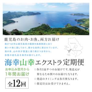ふるさと納税 【定期便】海幸山幸 エクストラ厳...の詳細画像1
