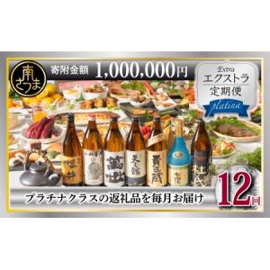 ふるさと納税 エクストラ定期便プラチナ 鹿児島県南さつま市
