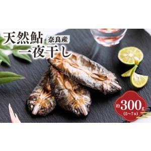 ふるさと納税 天然鮎の一夜干し | 魚 さかな サカナ 鮎...