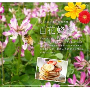 ふるさと納税 【全12回】 定期便 かの蜂 国...の詳細画像1
