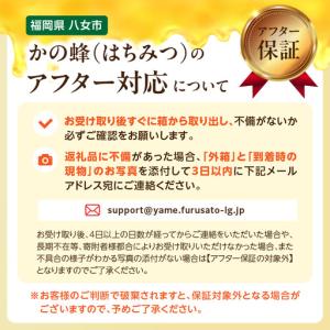 ふるさと納税 【全12回】 定期便 かの蜂 国...の詳細画像4