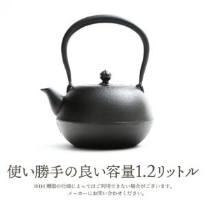 ふるさと納税 南部鉄器 鉄瓶 寒梅美肌鉄瓶 〜...の詳細画像2