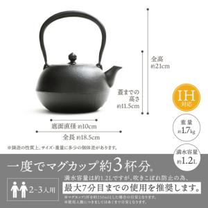 ふるさと納税 南部鉄器 鉄瓶 寒梅美肌鉄瓶 〜...の詳細画像4
