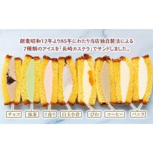 ふるさと納税 長崎カステラアイス 7種 計8個...の詳細画像1
