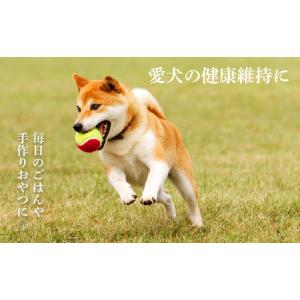ふるさと納税 ペット用 エゾ鹿挽き肉 200g...の詳細画像1