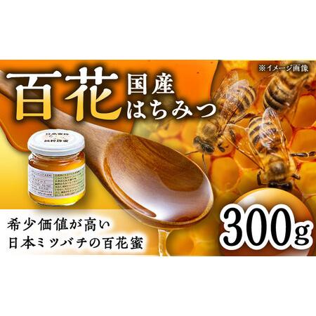 ふるさと納税 【コクと味わい深い甘み】日本蜜蜂 百花 はちみつ 300g /永尾 忠則 [UAS00...