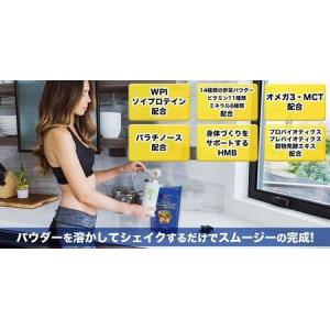 ふるさと納税 【MPNサプリメント】パーフェク...の詳細画像3