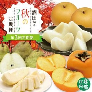 ふるさと納税 SE0478　【3回定期便】酒田から秋のフルーツ定期便2026 (刈屋梨、庄内柿、ラ・...
