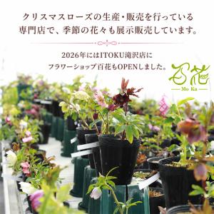 ふるさと納税 フラワーアレンジメント 3000...の詳細画像2