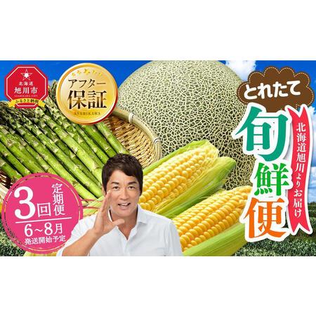 ふるさと納税 高評価★4.9【2026年発送先行予約】とれたて定期便〜北海道旭川市から旬の定期便〜 ...