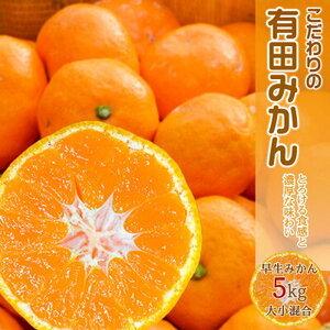 ふるさと納税 EA6029n_【2026年先行予約】濃厚な味わいのこだわり 有田みかん 5kg (早...