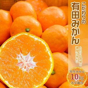 ふるさと納税 EA6031_【2026年先行予約】濃厚な味わいのこだわり 有田みかん 10kg (早...