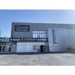 ふるさと納税 D-テニス小田原　会員限定　１ヶ月レッスン料　４回　ジュニア 神奈川県小田原市