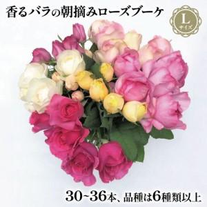 ふるさと納税 バラ 花束 ブーケ 朝摘み Lサイ...の商品画像
