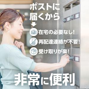 ふるさと納税 最短翌日出荷!! 【 お試しサイ...の詳細画像1