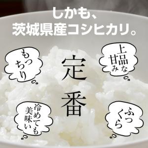 ふるさと納税 最短翌日出荷!! 【 お試しサイ...の詳細画像2