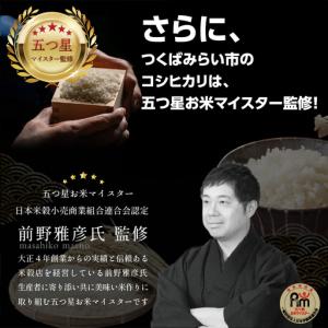 ふるさと納税 最短翌日出荷!! 【 お試しサイ...の詳細画像3