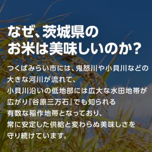 ふるさと納税 最短翌日出荷!! 【 お試しサイ...の詳細画像4