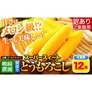 ふるさと納税 【先行受付2025年】とうもろこし味来(みらい 約3.0 ふるさと納税 【先行受付2025年】とうもろこし味来(みらい 約3.0
