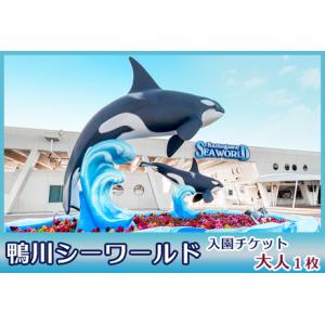 ふるさと納税 【鴨川シーワールド】入園チケット　大人（高校生以上）１枚　[0011-0008] 千葉...