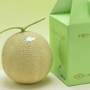 ふるさと納税 【定期便】高橋メロン農園『千葉ア...の詳細画像3