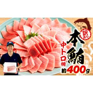ふるさと納税 訳あり 本マグロ 中トロ 約400g 冷凍
