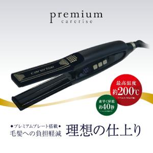 B-3NT-R 200V 電気蒸気アイロン 工業用アイロン オオサカアイロン 大阪