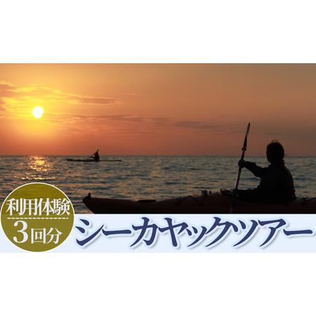 ふるさと納税 南伊豆シーカヤックツアー　体験3回分  　【 カヤック 】 静岡県南伊豆町