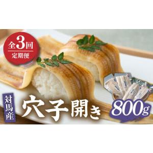 ふるさと納税 【全3回定期便】対馬 穴子 開き 800g《対...