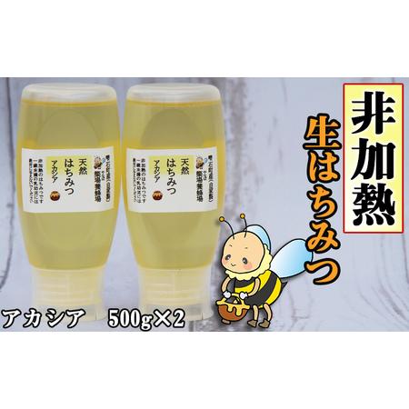 ふるさと納税 簗場養蜂場 非加熱 生はちみつ アカシア 500g 2本 ／ はちみつ 蜂蜜 ハチミツ...