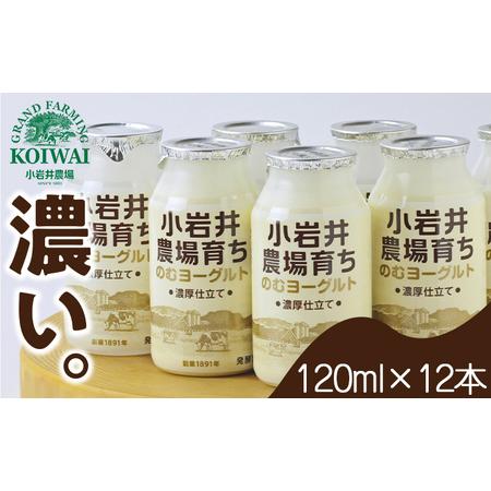 ふるさと納税 小岩井農場育ち のむヨーグルト 120ml×12本 ／ 乳製品 ヨーグルト ドリンク ...