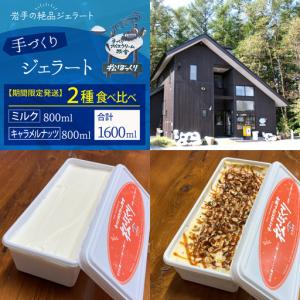 お得な12本セット」 高麗人参と蜂蜜入りアリゾナ緑茶 アリゾナグリーン