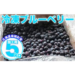 ふるさと納税 南幌町 北海道産 たっぷり使える 冷凍ブルーベリー 5kg